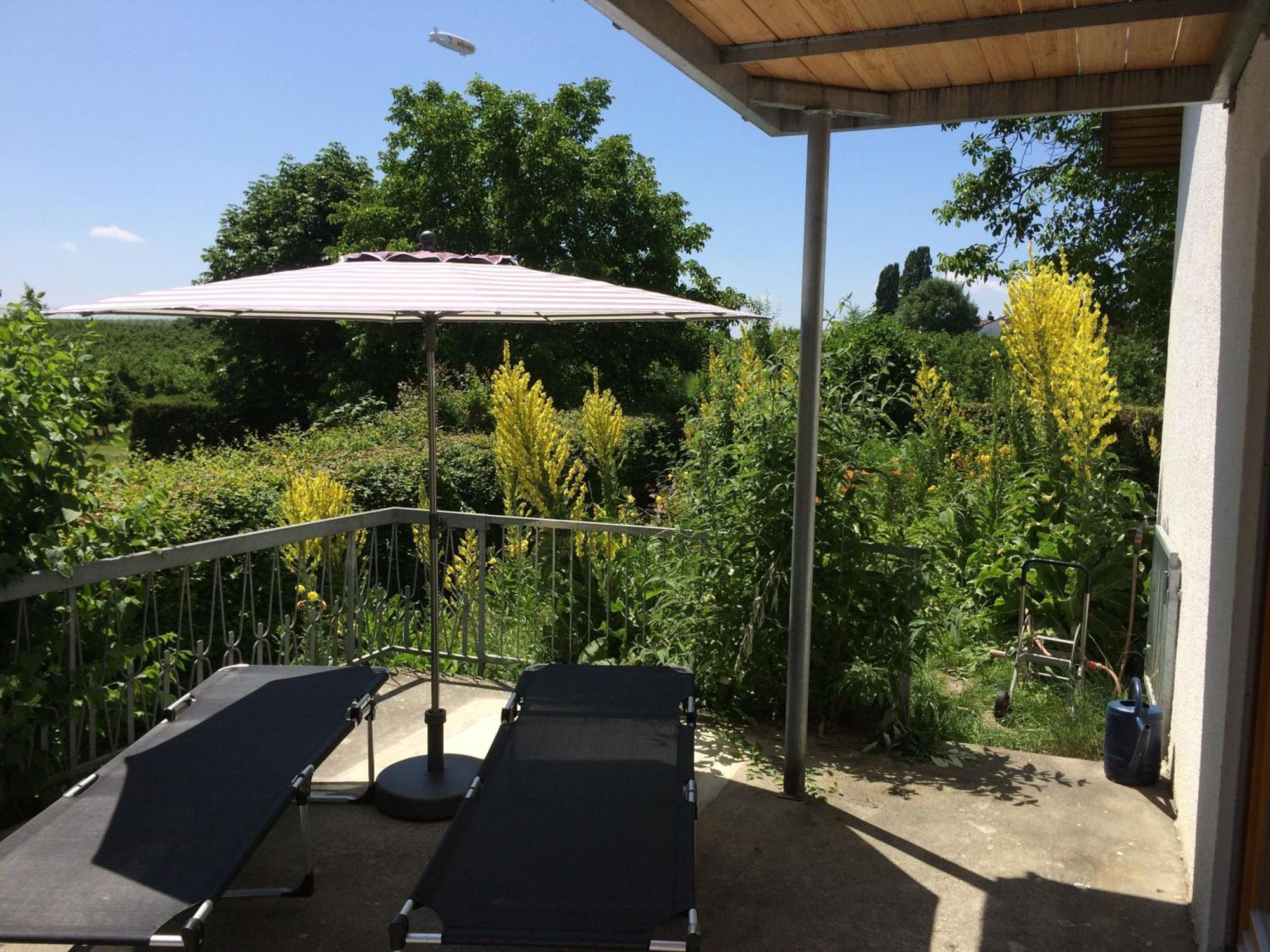 Ferienwohnung Bluetenweg Kluftern Friedrichshafen Exteriér fotografie